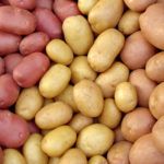 Описание сортов картофеля