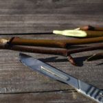 Корнеобразователь для растений из подручных материалов