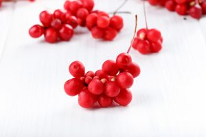 Лимонник китайский