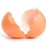 Яичная скорлупа как удобрение: польза и способ применения