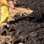 Как подготовить грядки осенью: советы по выращиванию культур под зиму