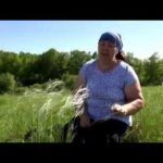 Лечебные свойства и применение растения ковыля