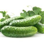 Характеристика и описание огурцов сорта Конкурент