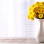 Как дольше сохранить хризантемы в вазе