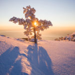 Приметы 12 Декабря: есть три интересные приметы