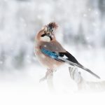 Приметы 11 Декабря: как сегодня погадать на деньги