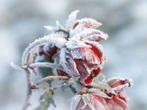 Приметы 6 Февраля: сегодня можно узнать какая будет весна
