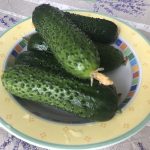 Как получить огурцы в начале мая или Луховицкие  секреты