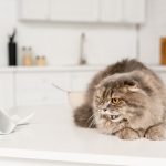 Приметы 24 ноября: как избавиться от беды