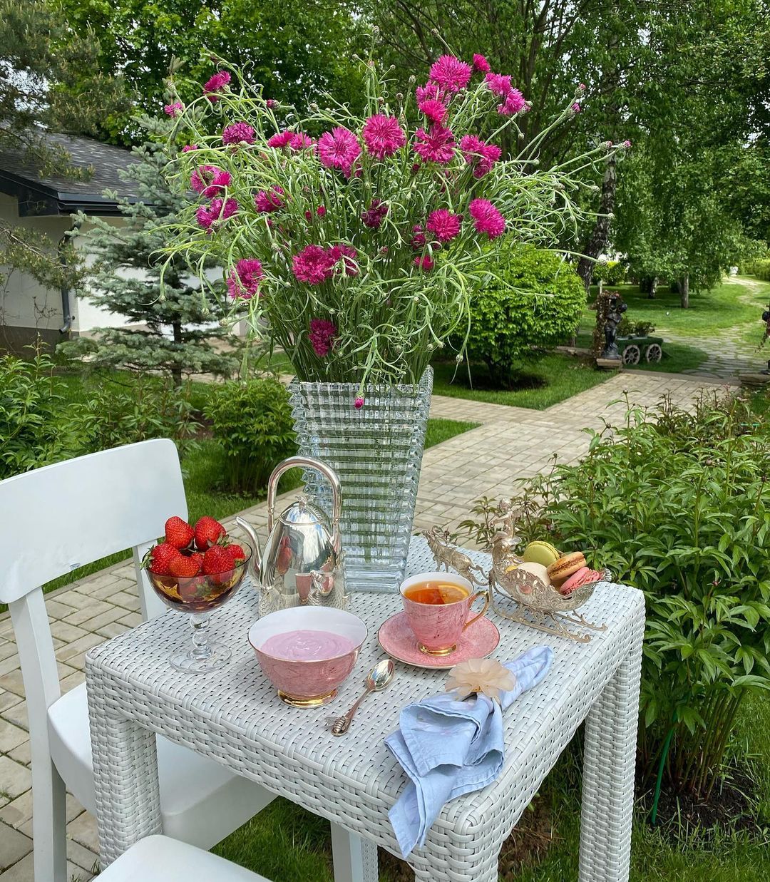 Садовые цветы, Завтраки Яны Рудковской