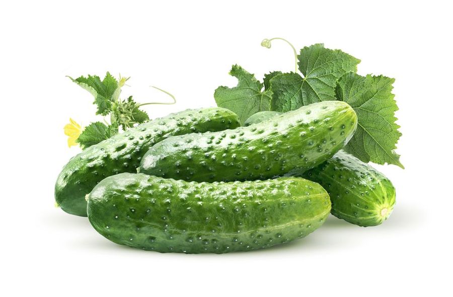 огурец Конкурент